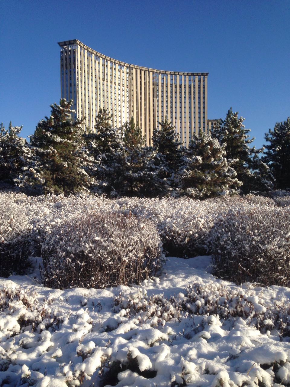 公司斜对面雪景.jpg