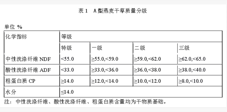 A型燕麦草