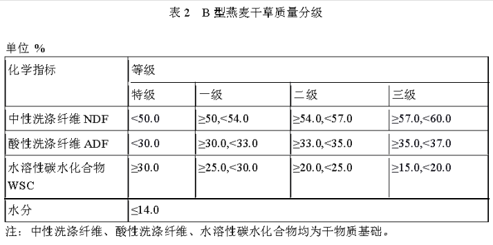 B型燕麦草